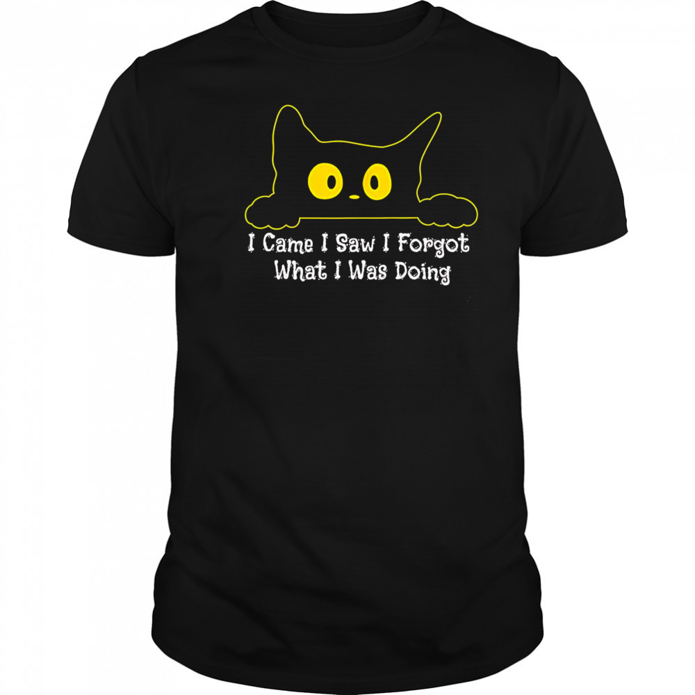 Cat I came I saw I forgot what I was doing shirt