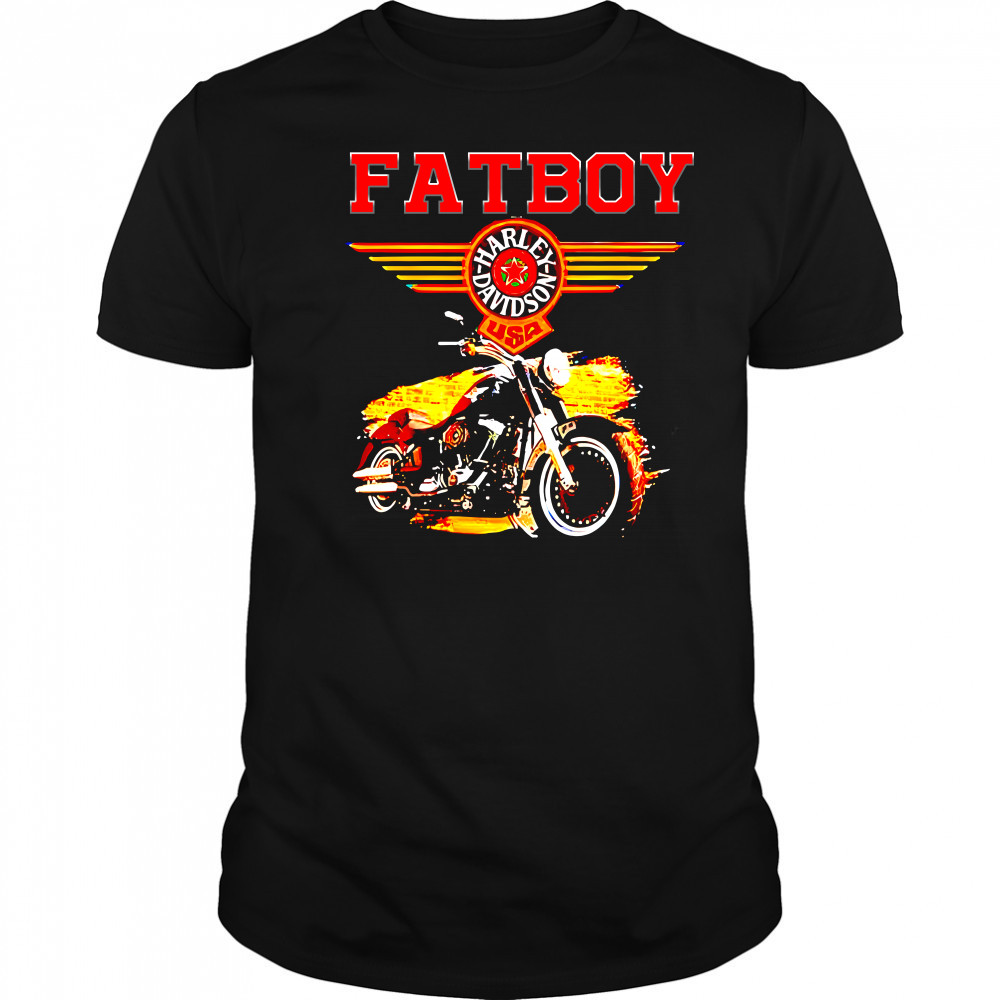 Fatboy Harley Davidson USA