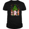 Santa Cats light Christmas tree