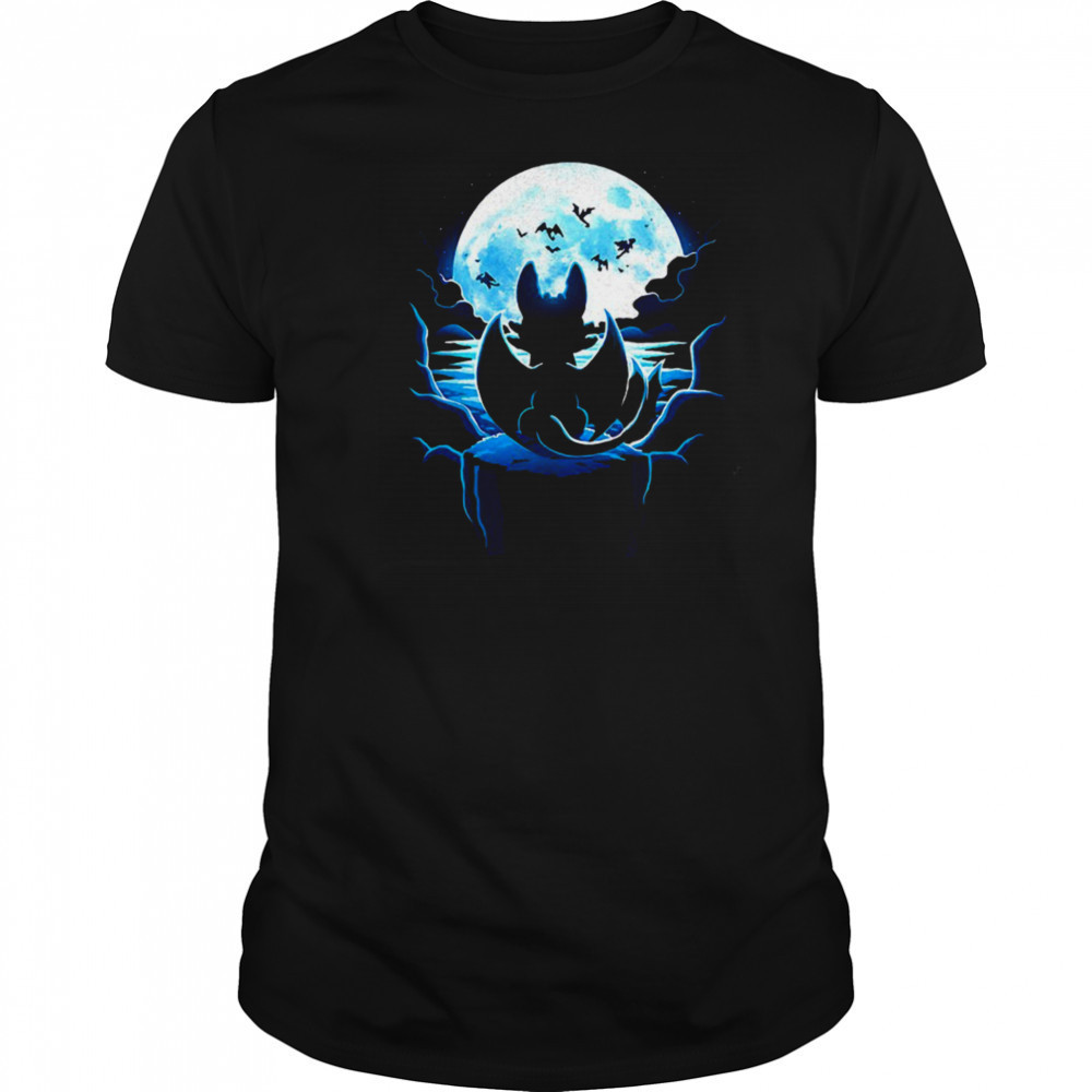 Toothless How to Train Your Dragon Dragon Land shirt