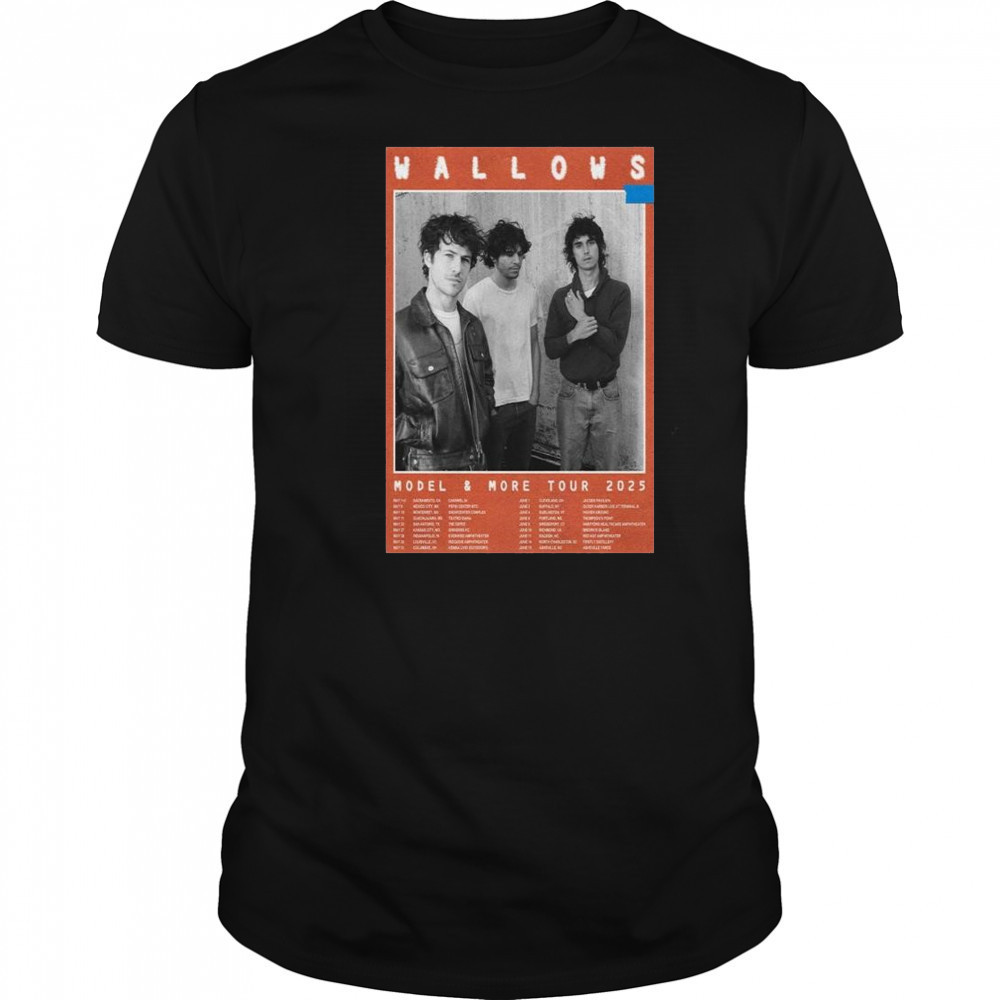 Wallows Model & More Tour 2025 t-shirt