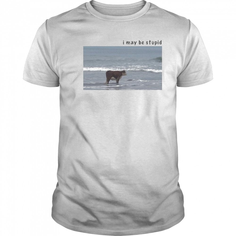 I May Be Stupid Cow T-shirt