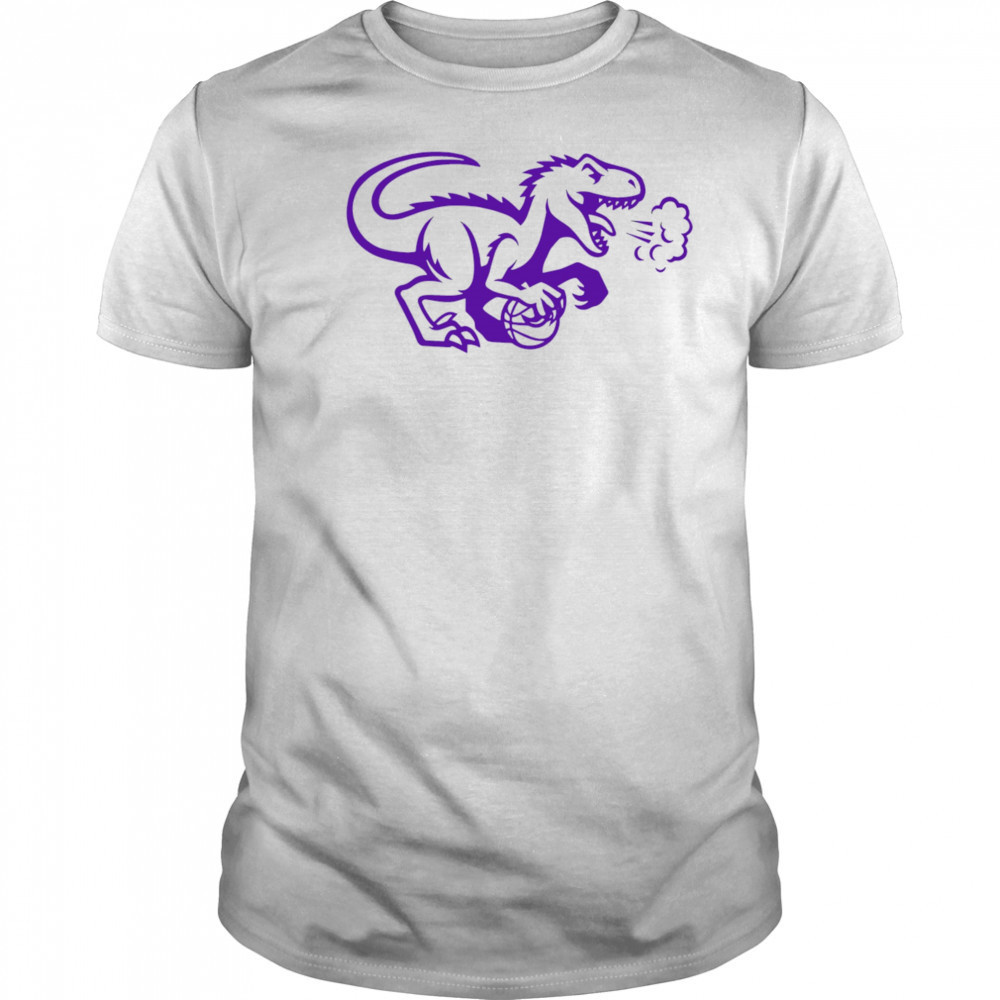 Toronto Raptors logo cute shirt