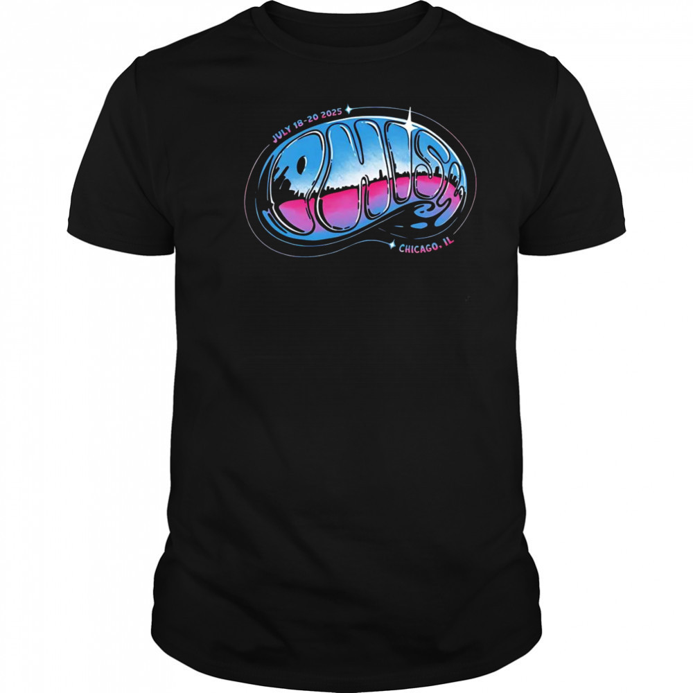 Chicago 2025 Chicago IL shirt