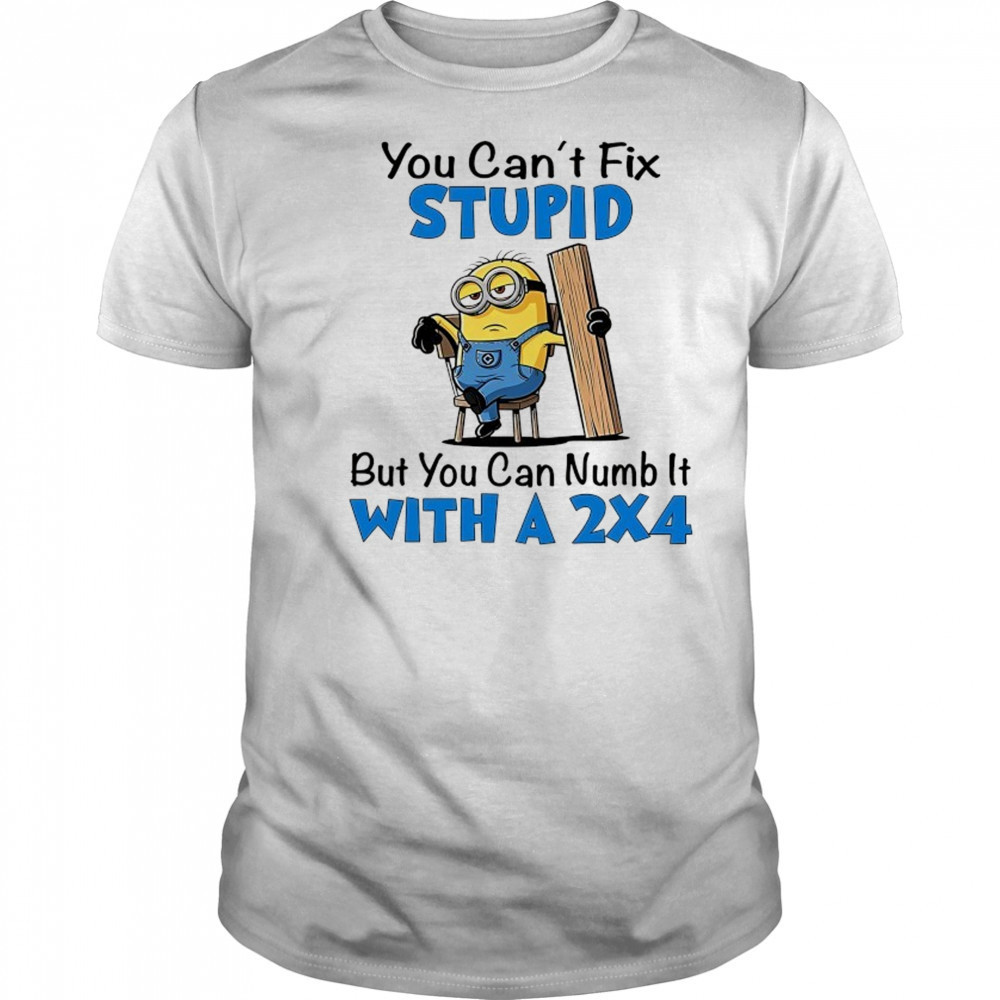 Minion you can’t fix stupid but you can numb it with a 2×4 shirt