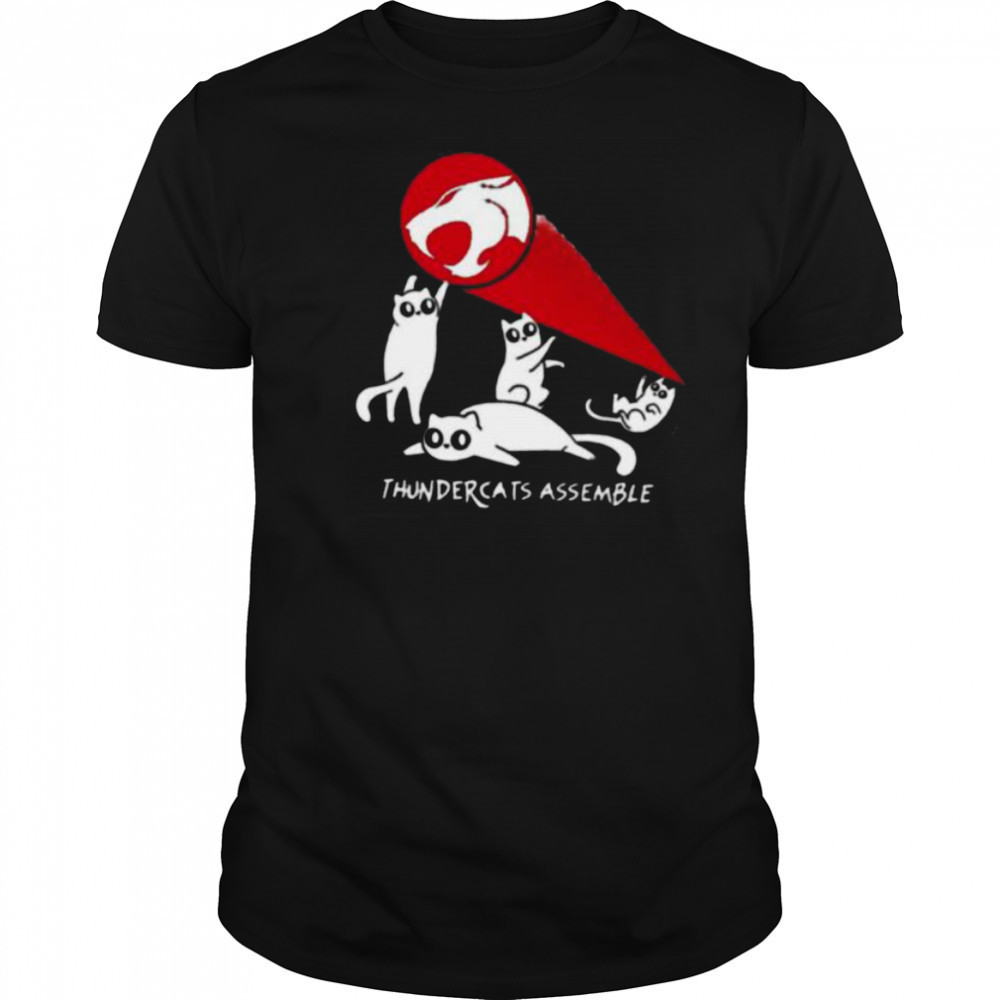 Thundercats assemble shirt