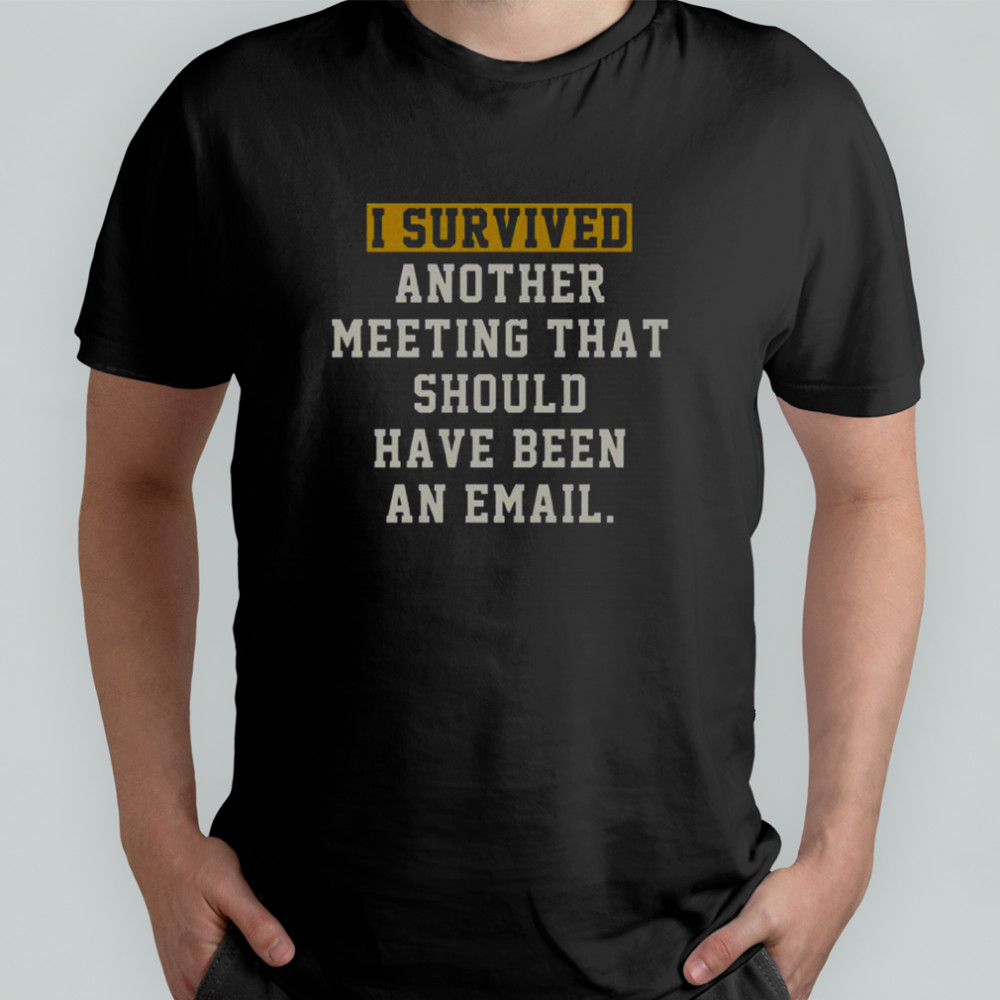I Survived Another Meeting That Should Have Been An Email T-Shirt