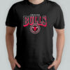 NBA Chicago Bulls Arched Crest shirt