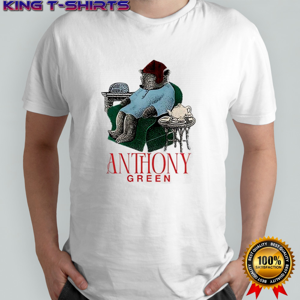Bear sleeping Anthony Green shirt
