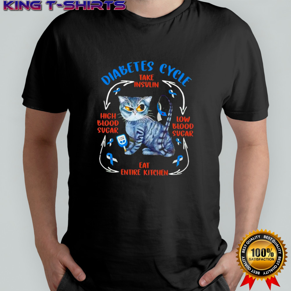 Cat diabetes cycle take insulin low blood sugar high blood sugar eat entire kitchen shirt