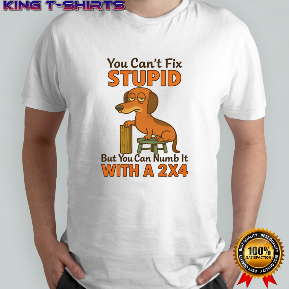 Dachshund you can’t fix stupid but you can numb it with a 2×4 shirt