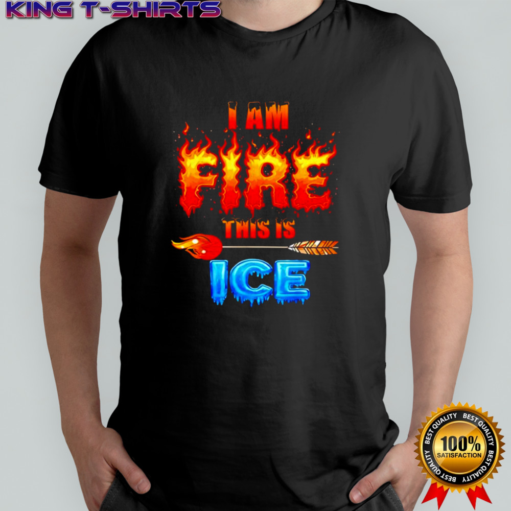 Funny Ice This is Fire Costume Halloween Family Matching shirt