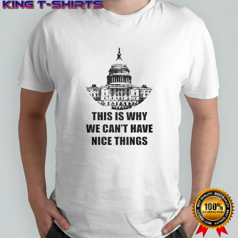 This is why we can’t have nice things anti government shirt