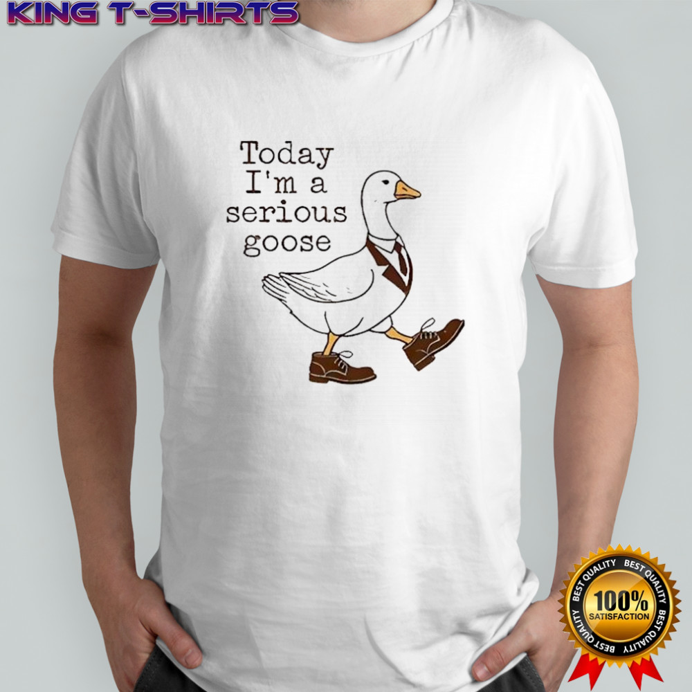 Today I’m a serious goose working and serious goose shirt