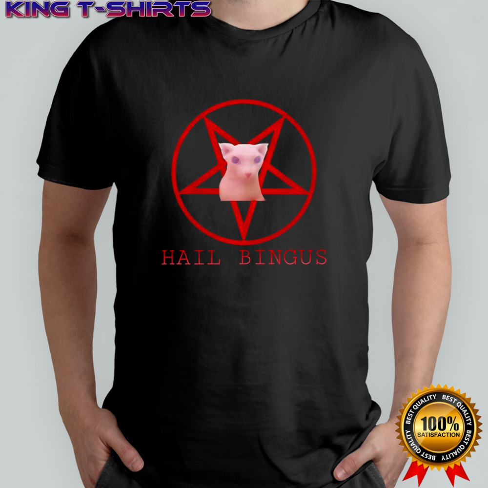 Hail Bingus Schwarz Herren shirt