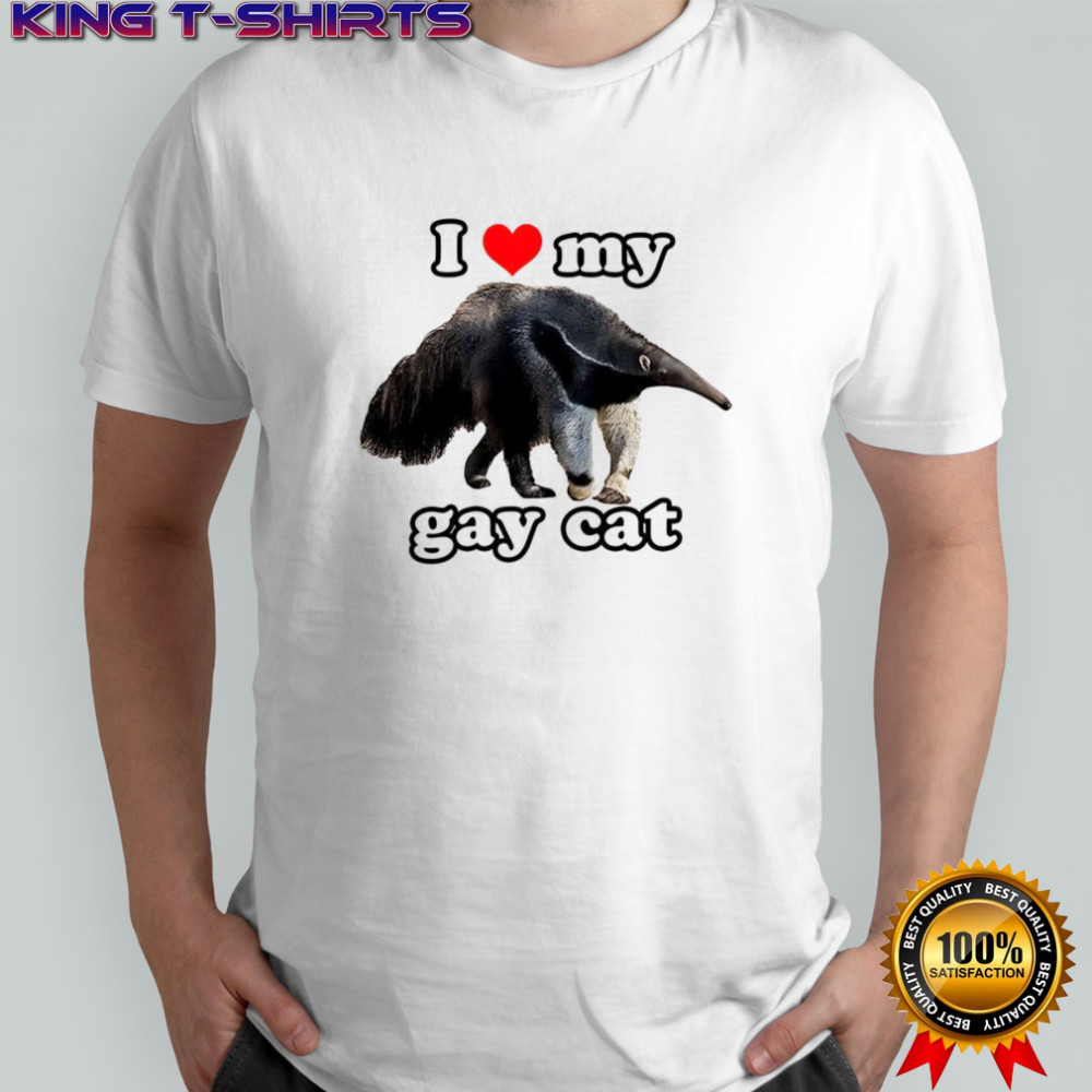 I love my gay cat shirt