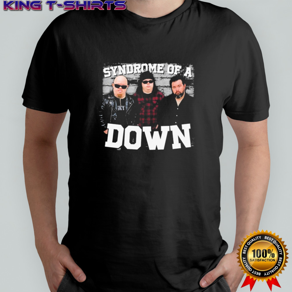 Syndrome Of A Down T-shirt