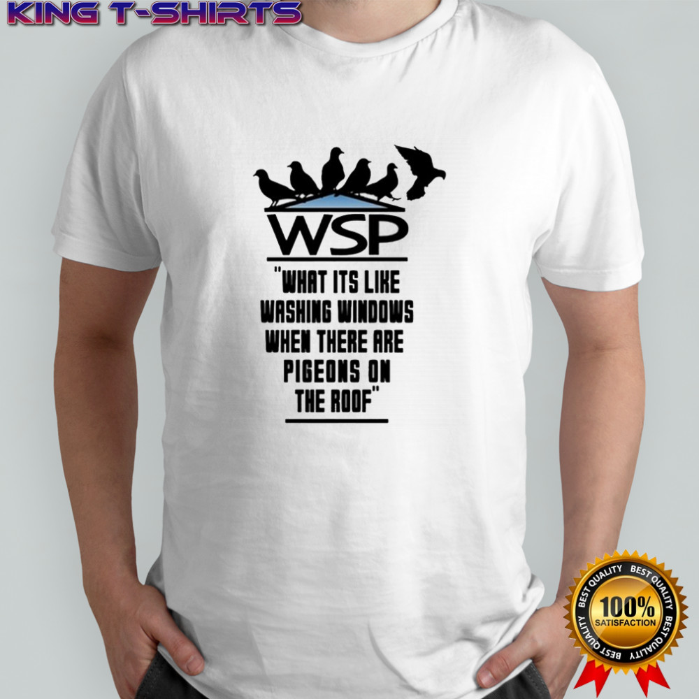 Widespread Panic What It’s Like Washing Windows When There Are Pigeons On The Roof Birds Shirt