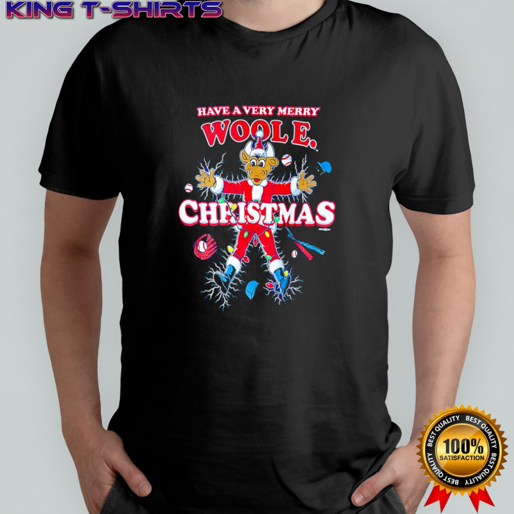 Awesome Durham Bulls have a very merry woole christmas shirt