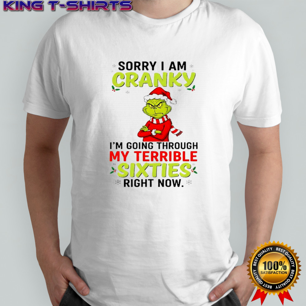 Grinch Stole Christmas sorry i am cranky i’m going through my terrible sixties right now shirt