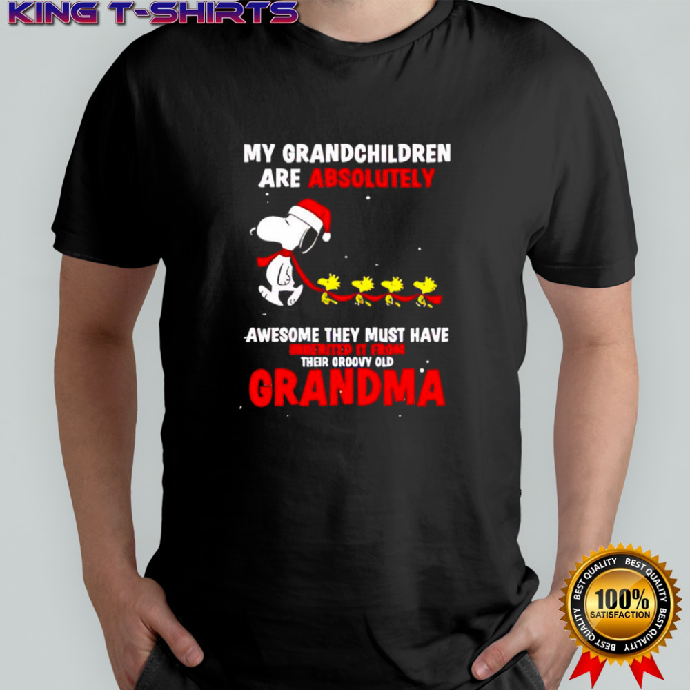 Snoopy Woodstock Santa hats awesome they must have inherited it from their groovy old grandma shirt