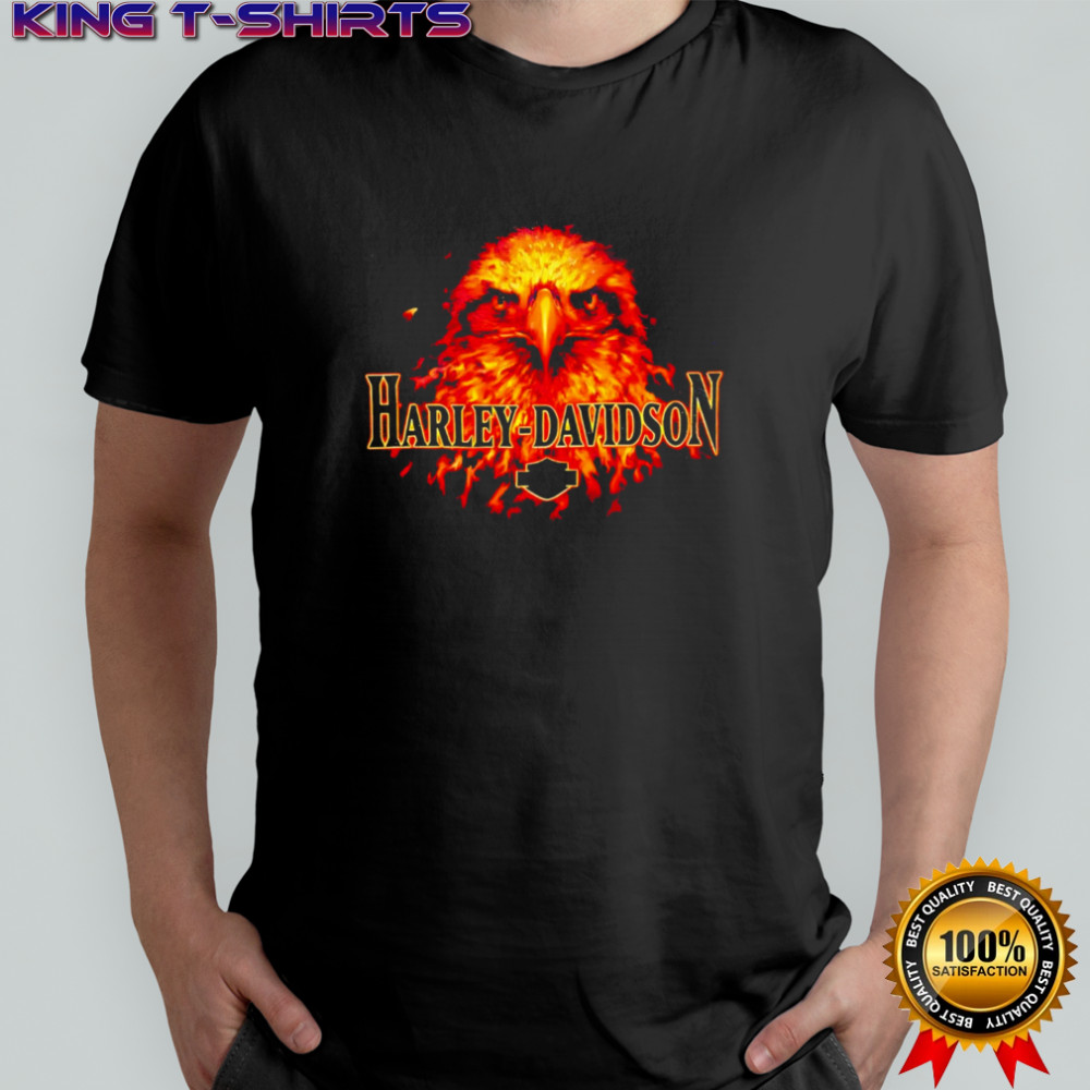 Top Harley Davidson Flaming Bald Eagle shirt