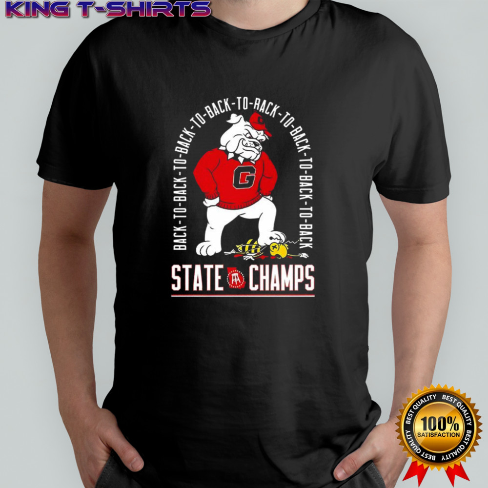 Georgia Bulldogs vs Georgia Tech Yellow Jackets back-to-back State Champs shirt